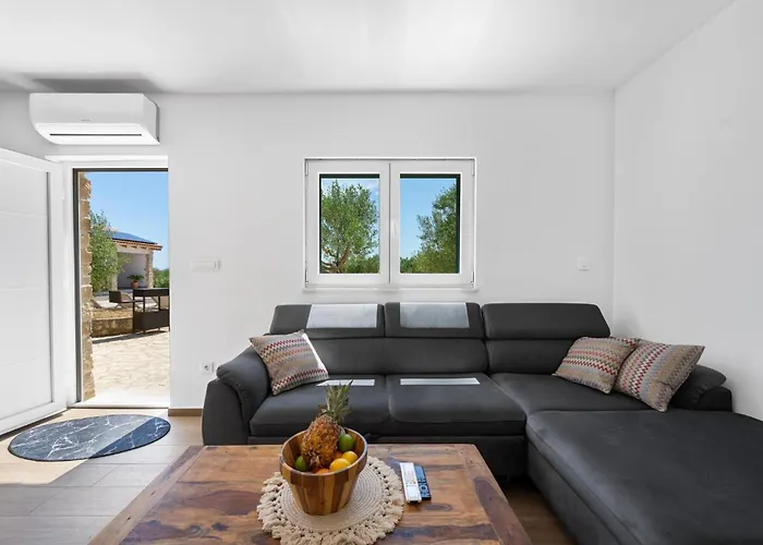 Pet Friendly In With Outdoor Swimming Pool Vodice