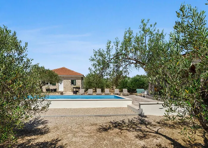 Vakantiehuis Pet Friendly In With Outdoor Swimming Pool Vodice